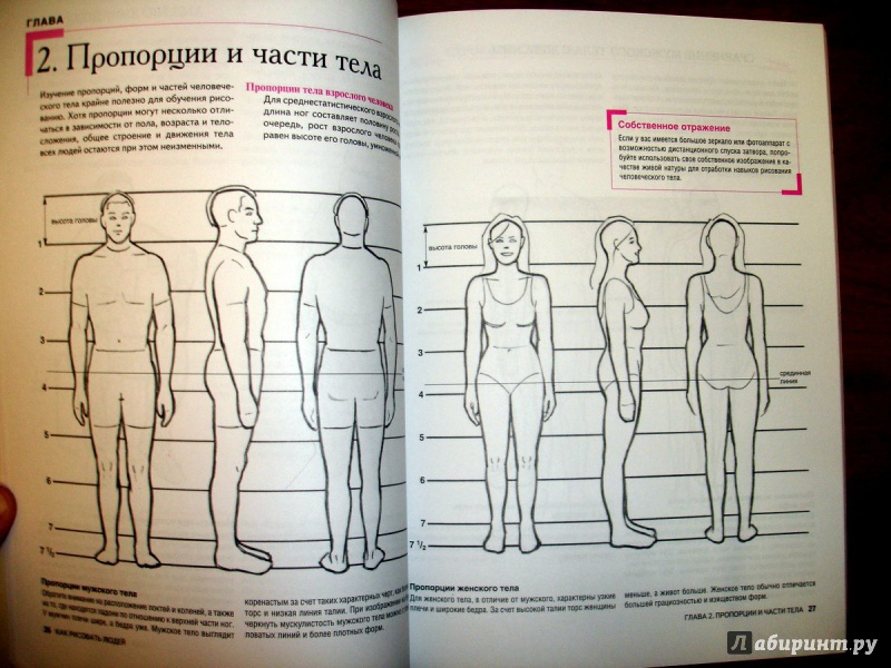 Иллюстрация 4 из 7 для Как рисовать людей - Уилленбринк, Уилленбринк | Лабиринт - книги. Источник: Kassavetes