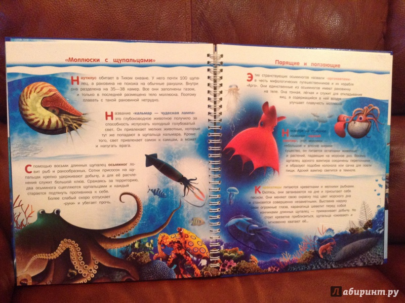 Иллюстрация 9 из 15 для Подводный мир - Бабенко, Алексеев | Лабиринт - книги. Источник: Умная Дуня