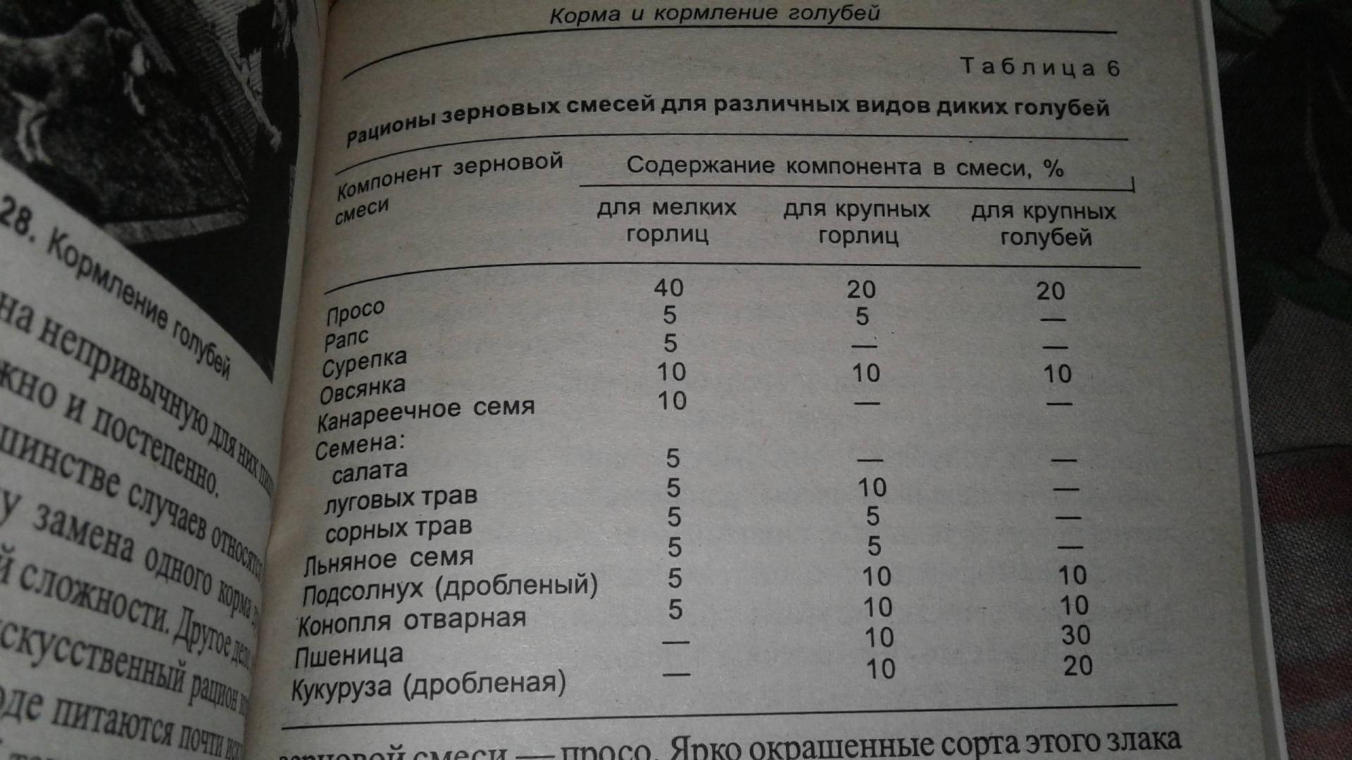 Иллюстрация 18 из 19 для Голуби. Обзор видов. Содержание. Кормление. Разведение - Александр Рахманов | Лабиринт - книги. Источник: Полеваева  Галина