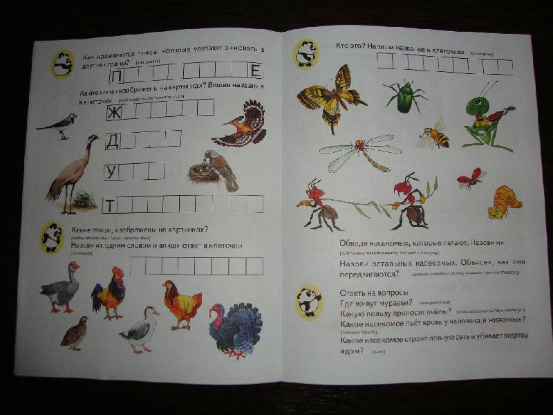 Иллюстрация 11 из 15 для Тесты. Окружающий Мир детям 6-7 лет | Лабиринт - книги. Источник: Семён