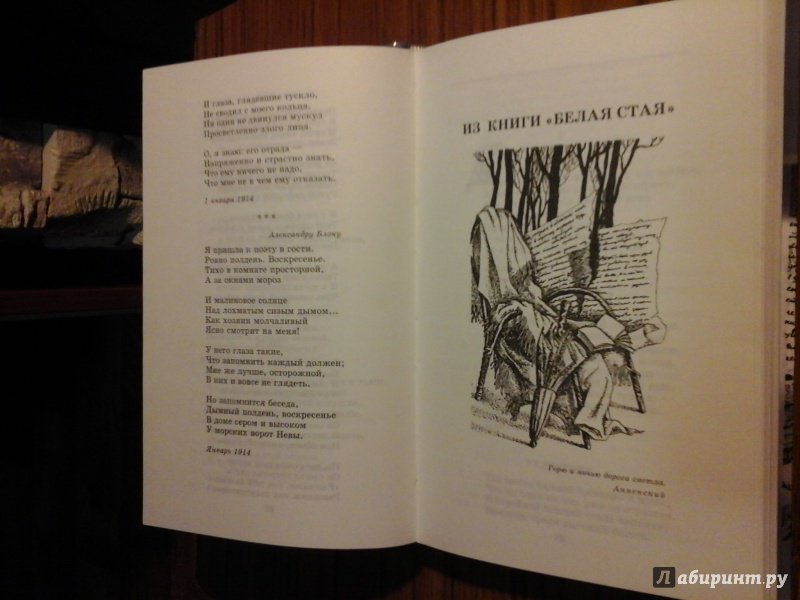 Иллюстрация 33 из 48 для Стихотворения и поэмы - Анна Ахматова | Лабиринт - книги. Источник: Виктория
