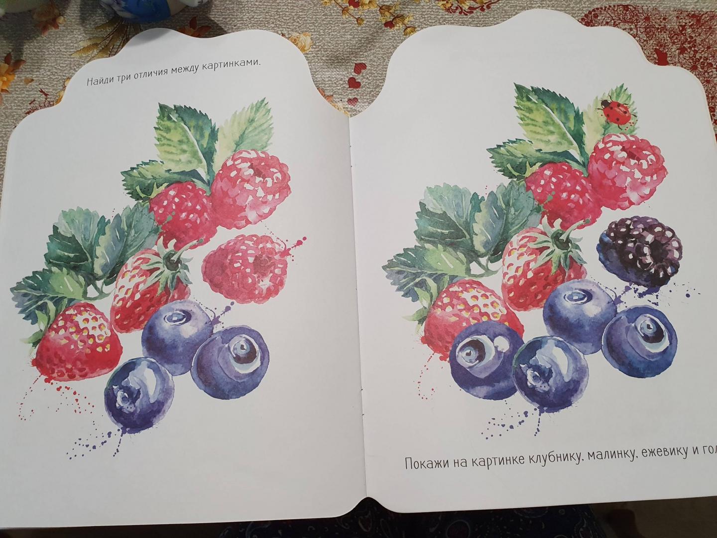 Иллюстрация 22 из 35 для Наклейки Лила Лу 3+. Фрукты и ягоды | Лабиринт - книги. Источник: NadiaM