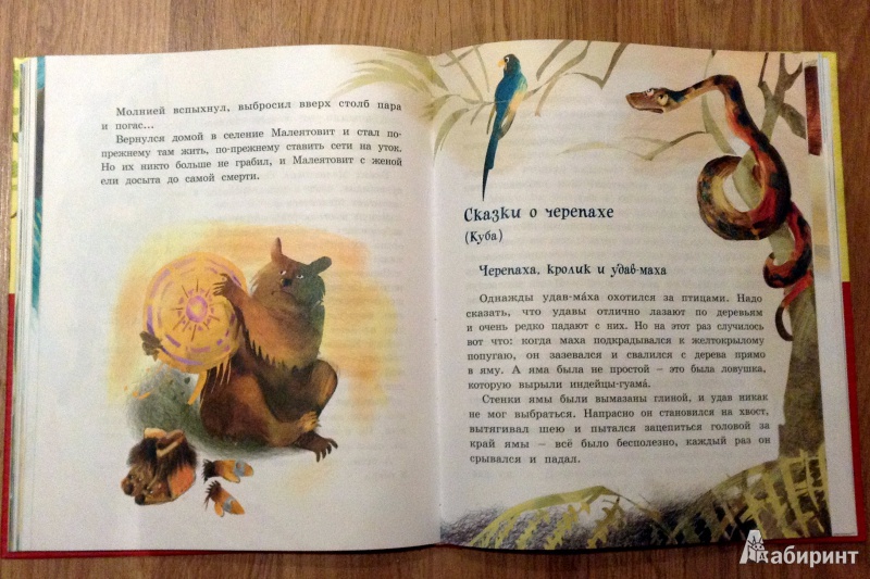 Иллюстрация 28 из 33 для Сказки из дорожного чемодана - Святослав Сахарнов | Лабиринт - книги. Источник: Юля  Весна