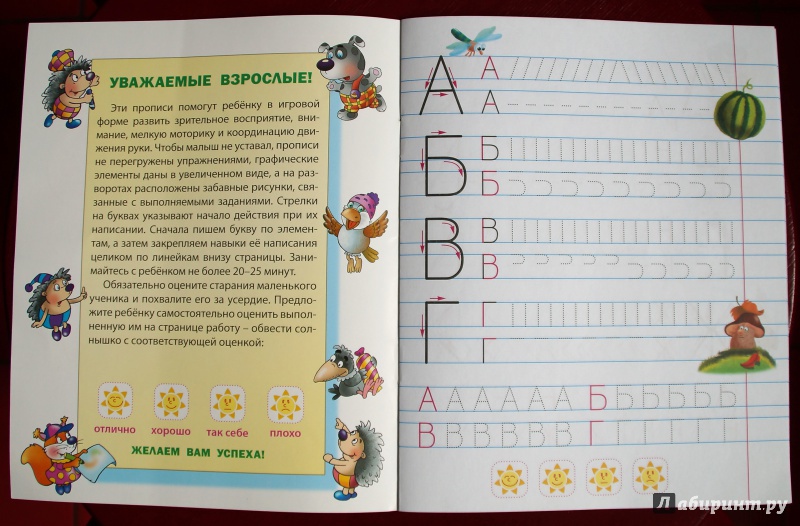 Иллюстрация 12 из 16 для Пишем правильно элементы печатных букв. 5-6 лет | Лабиринт - книги. Источник: Katya