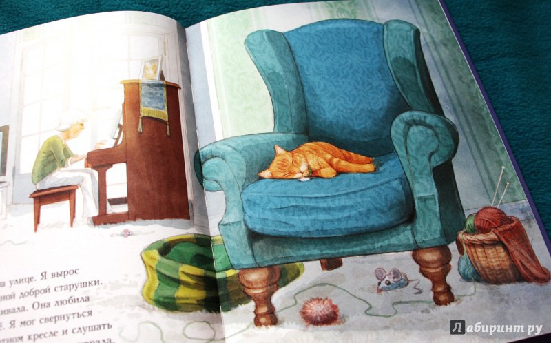 Иллюстрация 11 из 69 для Кот по имени Боб - Боуэн, Дженкинс | Лабиринт - книги. Источник: Мама-Почитайка