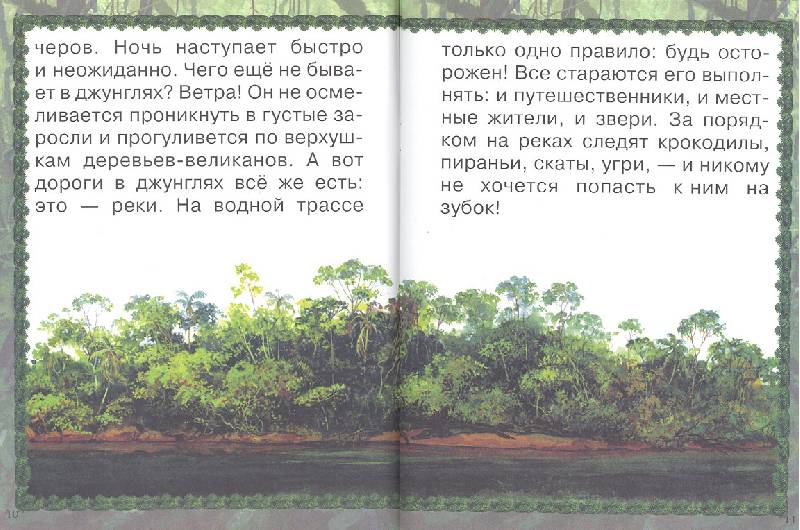 Иллюстрация 9 из 17 для Джунгли или путешествие по тропическому лесу - Ольга Колпакова | Лабиринт - книги. Источник: мамаОля