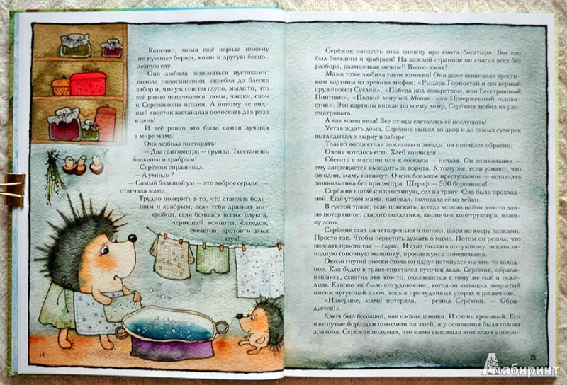Иллюстрация 99 из 195 для Серёжик - Елена Ракитина | Лабиринт - книги. Источник: Раскова  Юлия