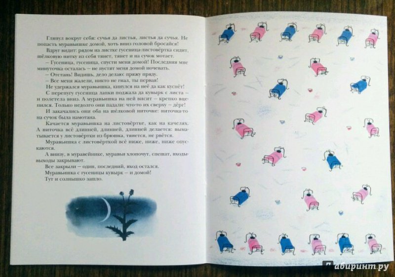 Иллюстрация 58 из 59 для Как муравьишка домой спешил - Виталий Бианки | Лабиринт - книги. Источник: Natalie Leigh