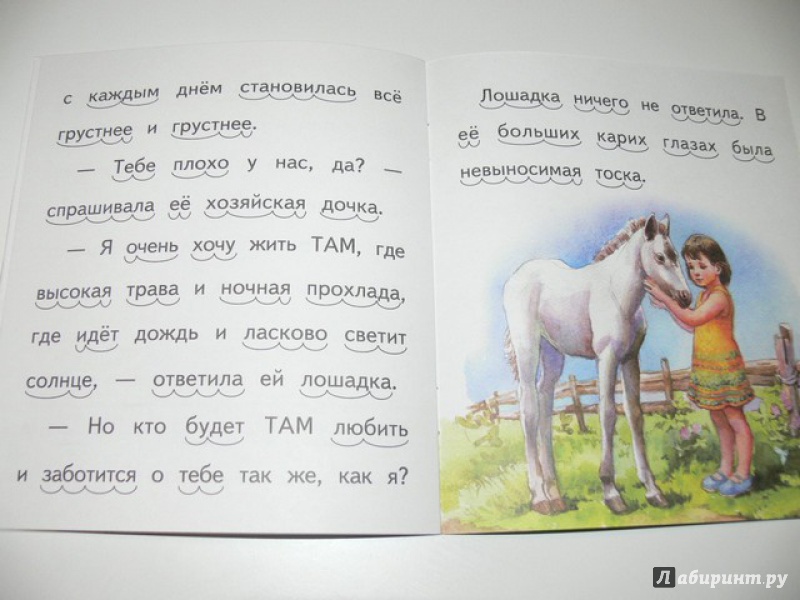 Иллюстрация 15 из 16 для Про белую лошадку - Елена Ермолова | Лабиринт - книги. Источник: Irbis