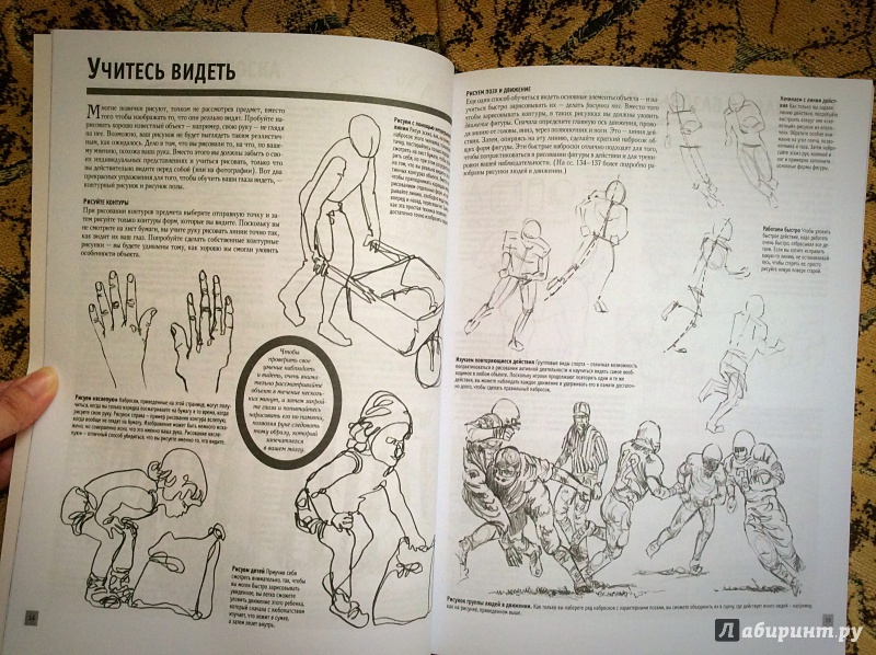 Иллюстрация 25 из 27 для Лучшие уроки. Основы рисования | Лабиринт - книги. Источник: а.а.и.