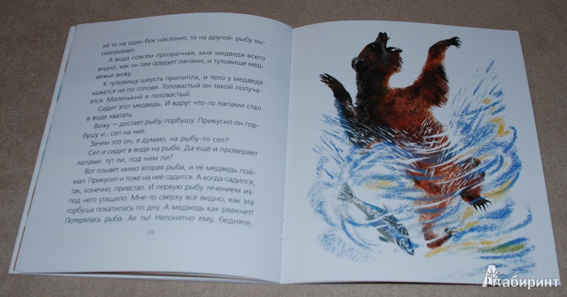 Иллюстрация 12 из 15 для Медведь-рыбак - Евгений Чарушин | Лабиринт - книги. Источник: Книжный кот