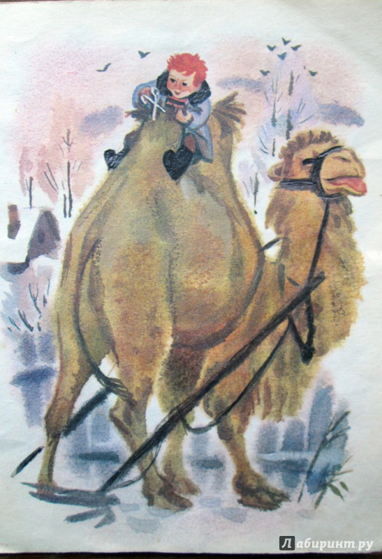 Иллюстрация 12 из 15 для Отважный пингвиненок - Геннадий Снегирев | Лабиринт - книги. Источник: Зеленая шляпа