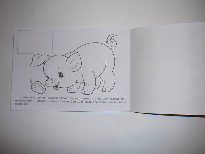 Иллюстрация 14 из 27 для Раскраска с наклейками Домашние животные | Лабиринт - книги. Источник: Анна Ванна