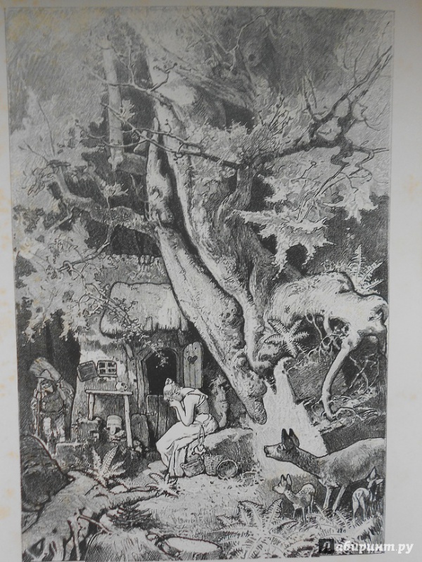 Иллюстрация 39 из 68 для Сказки - Гримм Якоб и Вильгельм | Лабиринт - книги. Источник: LeoLena