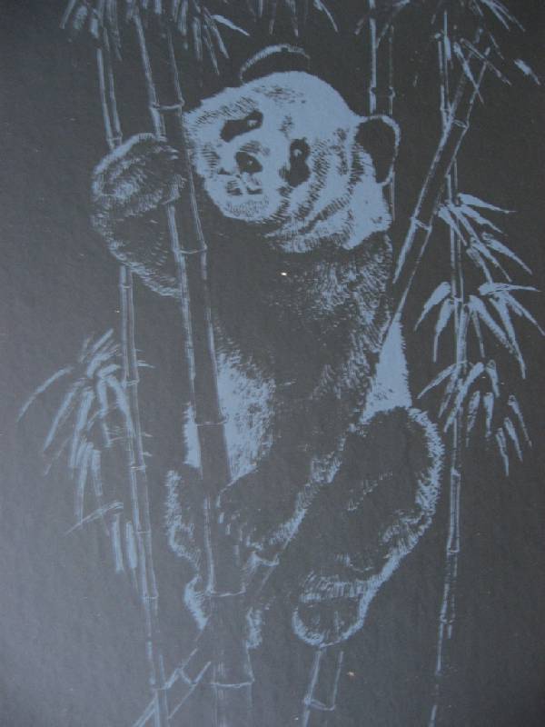Иллюстрация 7 из 7 для Гравюра: Жизнь животных. Панда | Лабиринт - игрушки. Источник: Юта