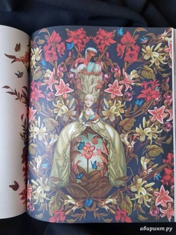 Иллюстрация 20 из 61 для Мария-Антуанетта. Тайный дневник королевы - Бенжамен Лакомб | Лабиринт - книги. Источник: Анжелика