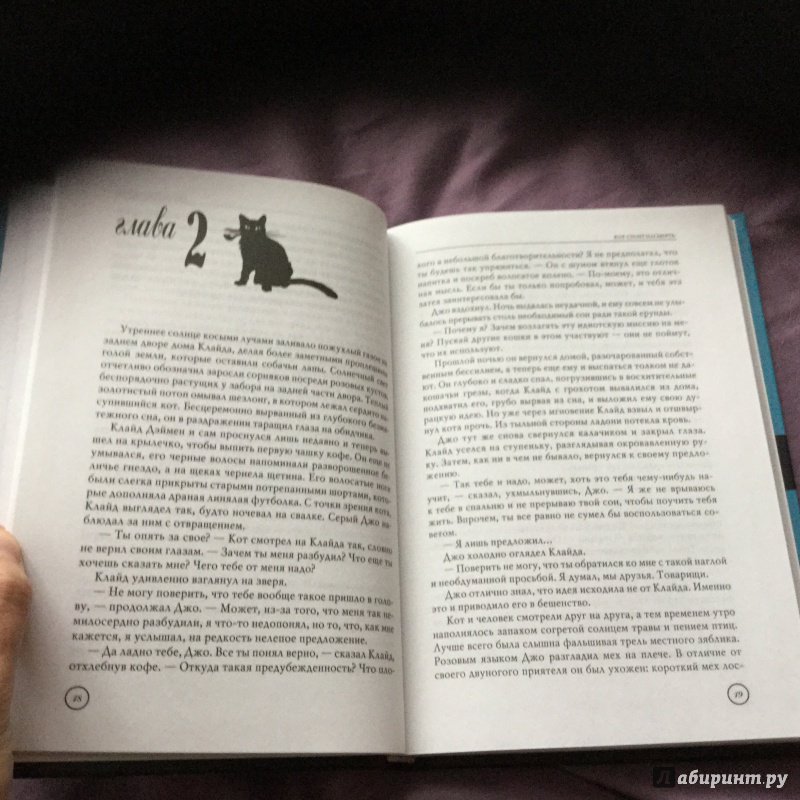 Иллюстрация 16 из 17 для Кот стоит насмерть - Ширли Мерфи | Лабиринт - книги. Источник: Светлая