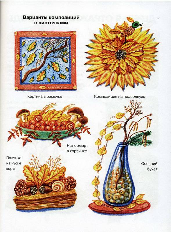 Иллюстрация 12 из 16 для Я собираю гербарий - Ирина Лыкова | Лабиринт - книги. Источник: Ялина