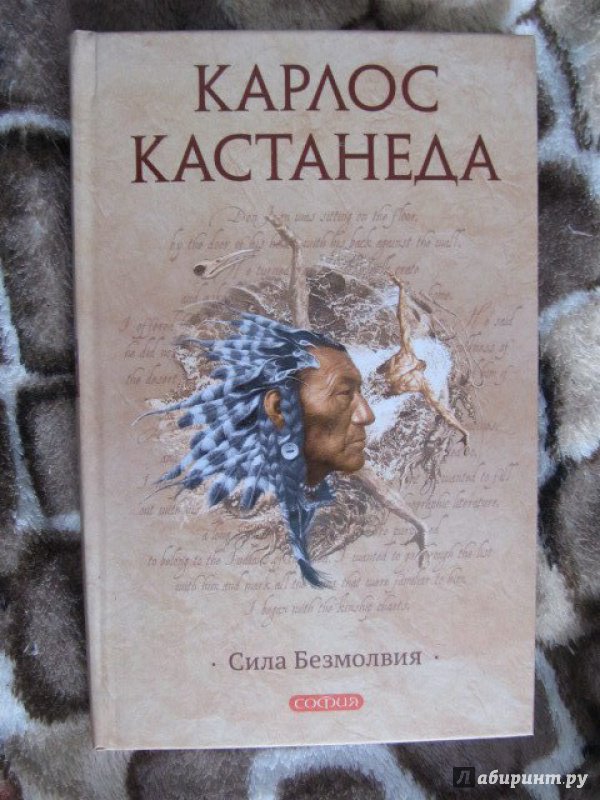 Иллюстрация 25 из 26 для Сила безмолвия - Карлос Кастанеда | Лабиринт - книги. Источник: Журавлева  Анастасия Сергеевна