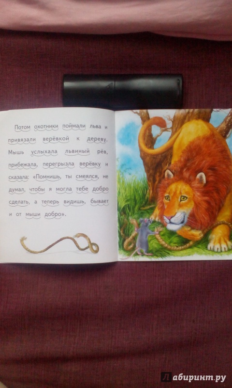 Иллюстрация 8 из 24 для Лев и мышь - Лев Толстой | Лабиринт - книги. Источник: Стаднишина  Ольга