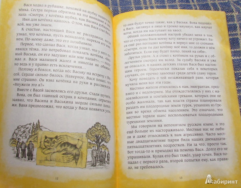 Иллюстрация 8 из 21 для Васька. Из жизни одного кота - Иоаким Монах | Лабиринт - книги. Источник: марина морская