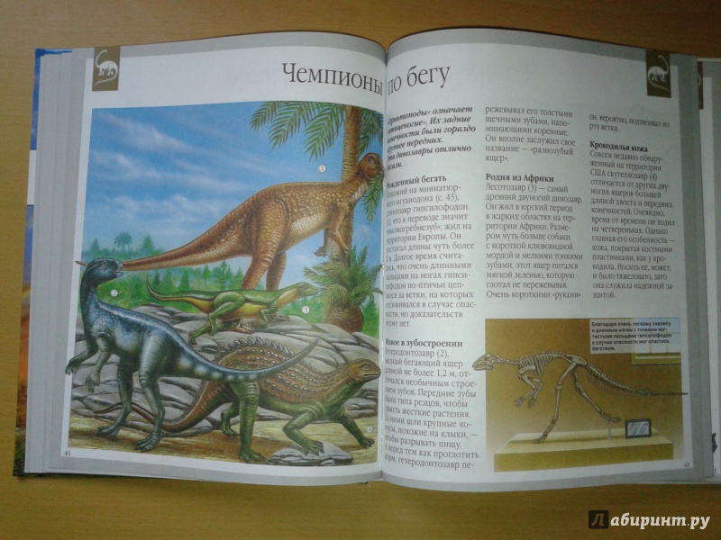 Иллюстрация 36 из 36 для Динозавры - Лора Камбурнак | Лабиринт - книги. Источник: Пастухова  Инна