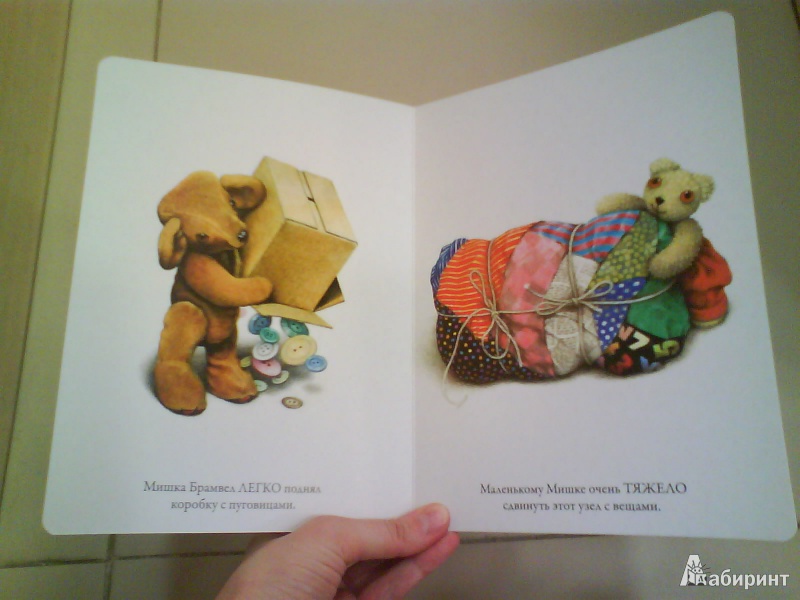 Иллюстрация 7 из 8 для Мой любимый медвежонок. Противоположности - Джейн Хисси | Лабиринт - книги. Источник: Мила