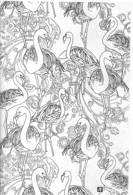 Иллюстрация 11 из 35 для Чудесные цветы | Лабиринт - книги. Источник: Митрофанова  Ирина