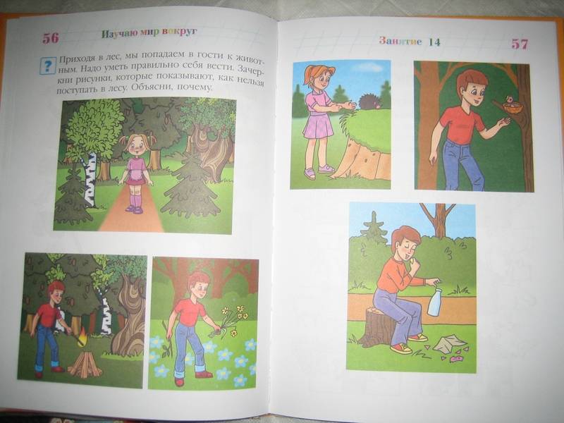 Иллюстрация 65 из 81 для Изучаю мир вокруг: для одаренных детей 5-6 лет - Валентина Егупова | Лабиринт - книги. Источник: Nnatali