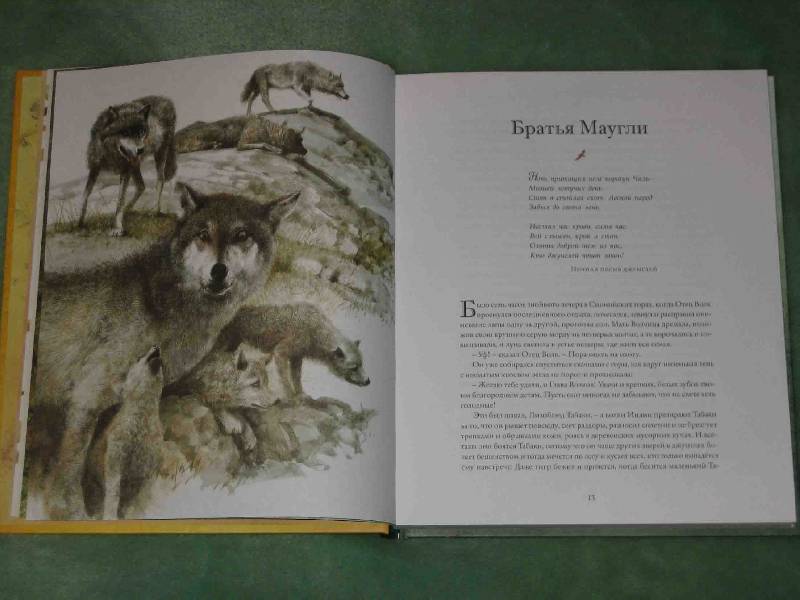 Иллюстрация 65 из 164 для Книга джунглей - Редьярд Киплинг | Лабиринт - книги. Источник: Трухина Ирина