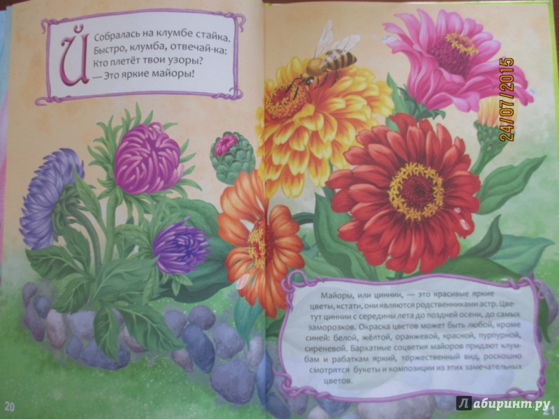 Иллюстрация 18 из 31 для Цветочная Азбука - Любовь Яковенко | Лабиринт - книги. Источник: Марина Епифанцева