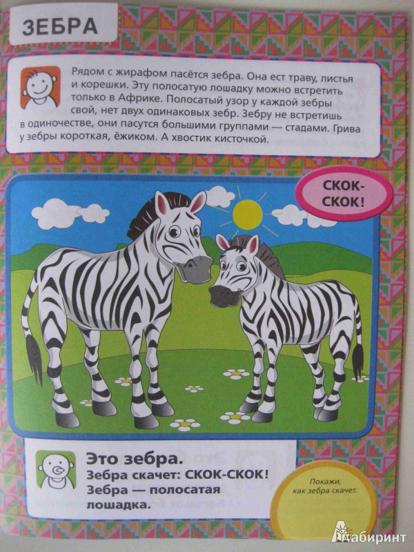 Иллюстрация 14 из 24 для Приходите в зоопарк - Елена Янушко | Лабиринт - книги. Источник: olga12121