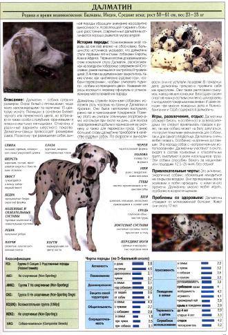 Иллюстрация 11 из 12 для Все о самых популярных породах собак - Джульетта Мей | Лабиринт - книги. Источник: Galia