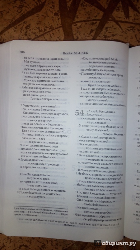 Иллюстрация 8 из 20 для Библия. Современный русский перевод | Лабиринт - книги. Источник: КВадим