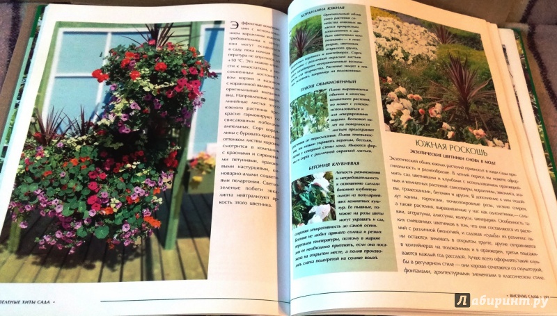Иллюстрация 7 из 25 для Зеленые хиты сада - Ульяна Анапова | Лабиринт - книги. Источник: Бог в помощь
