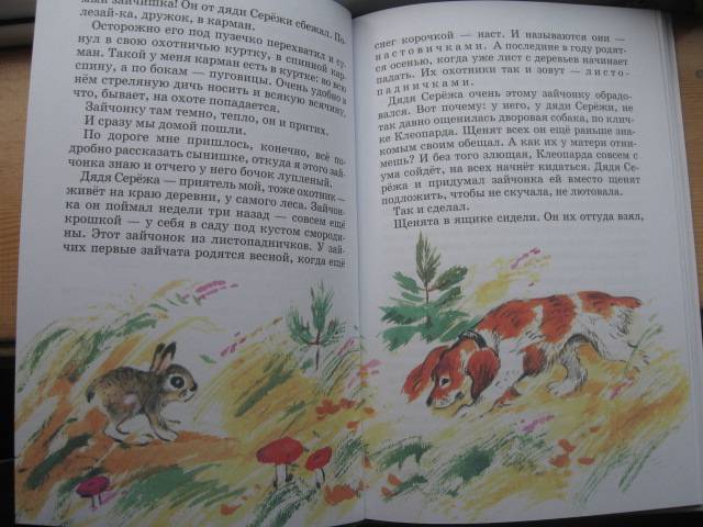 Иллюстрация 2 из 25 для Синичкин календарь: Рассказы - Виталий Бианки | Лабиринт - книги. Источник: Солнца луч