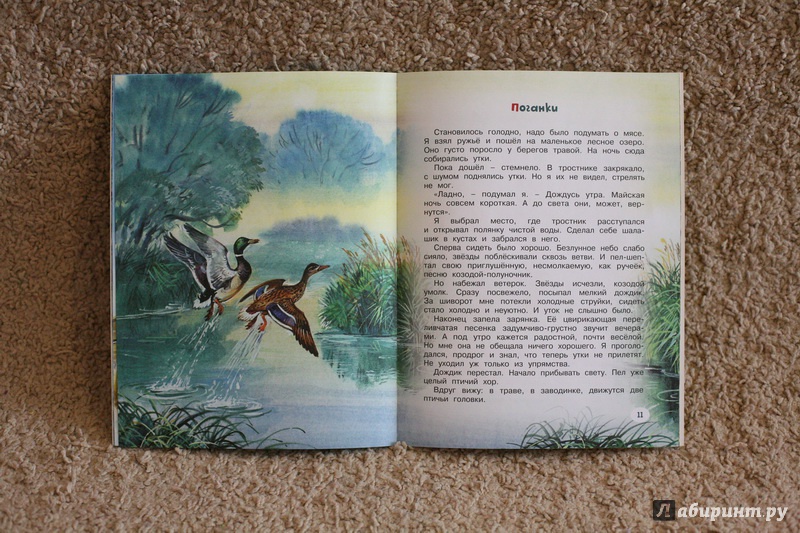 Иллюстрация 15 из 54 для Непонятный зверь - Виталий Бианки | Лабиринт - книги. Источник: дважды