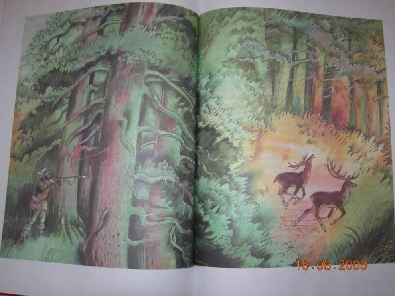 Иллюстрация 24 из 37 для Бемби: Лесная сказка - Феликс Зальтен | Лабиринт - книги. Источник: Соловей