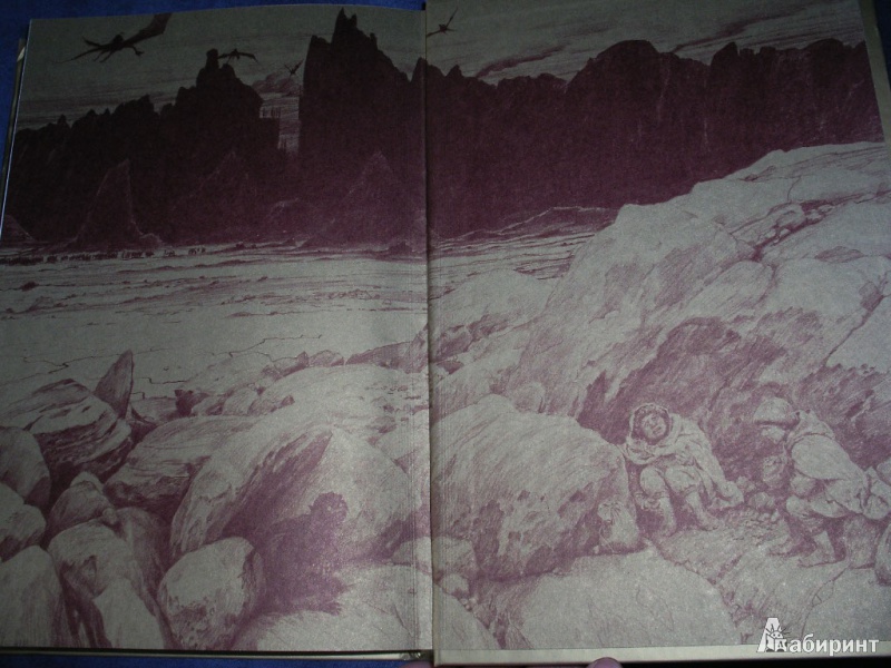 Иллюстрация 31 из 53 для Властелин Колец. Вторая часть. Две крепости - Толкин Джон Рональд Руэл | Лабиринт - книги. Источник: Tiger.