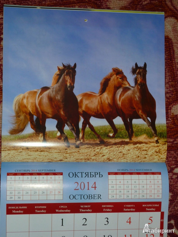 Иллюстрация 13 из 16 для Календарь 2014 "Год лошади" | Лабиринт - сувениры. Источник: Шубина  Диана Владимировна