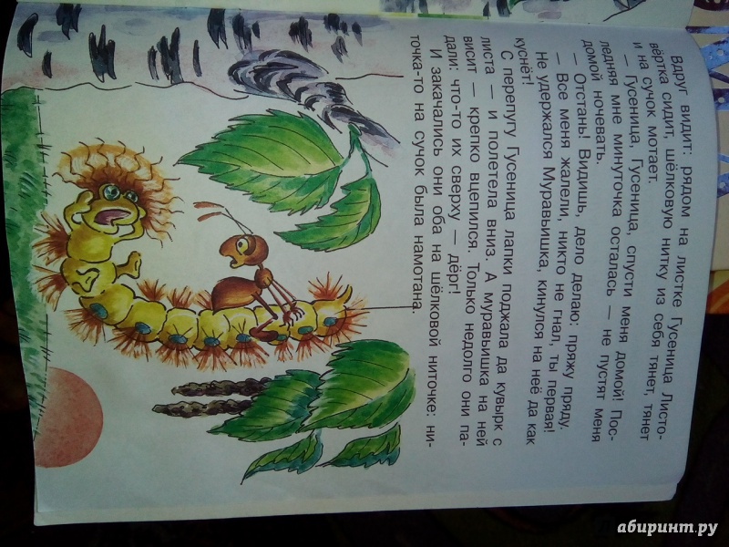 Иллюстрация 3 из 6 для Как муравьишка домой спешил - Виталий Бианки | Лабиринт - книги. Источник: Анрепо Екатерина