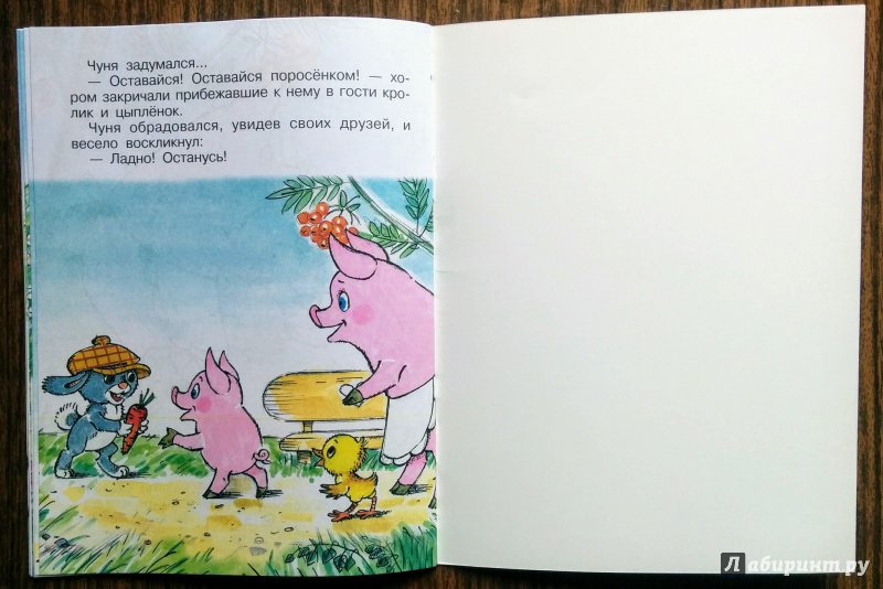 Иллюстрация 67 из 72 для Чуня - Екатерина Карганова | Лабиринт - книги. Источник: Natalie Leigh