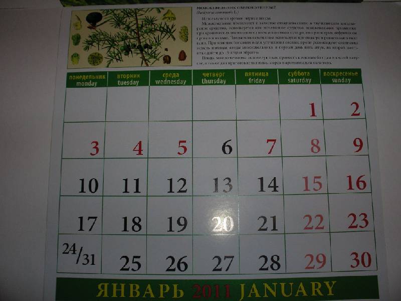 Иллюстрация 3 из 11 для Календарь. 2011 год. Календарь здоровья (71032) | Лабиринт - сувениры. Источник: Tiger.