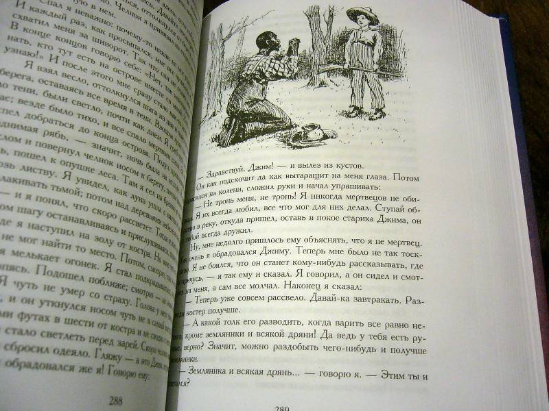 Иллюстрация 42 из 49 для Том Сойер и Гек Финн: Все приключения в одной книге - Марк Твен | Лабиринт - книги. Источник: Nika