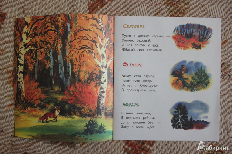 Иллюстрация 10 из 15 для Осень - рыжая лиса - Владимир Степанов | Лабиринт - книги. Источник: Глушко  Александр