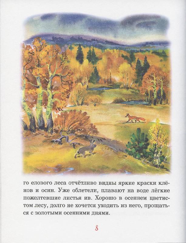 Иллюстрация 17 из 32 для Русский лес - Иван Соколов-Микитов | Лабиринт - книги. Источник: Igra