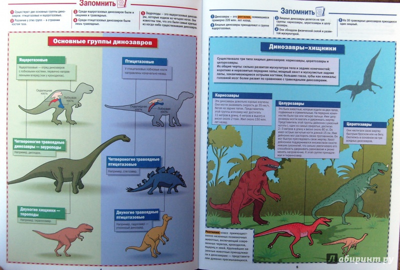 Иллюстрация 5 из 7 для Динозавры | Лабиринт - книги. Источник: Соловьев  Владимир
