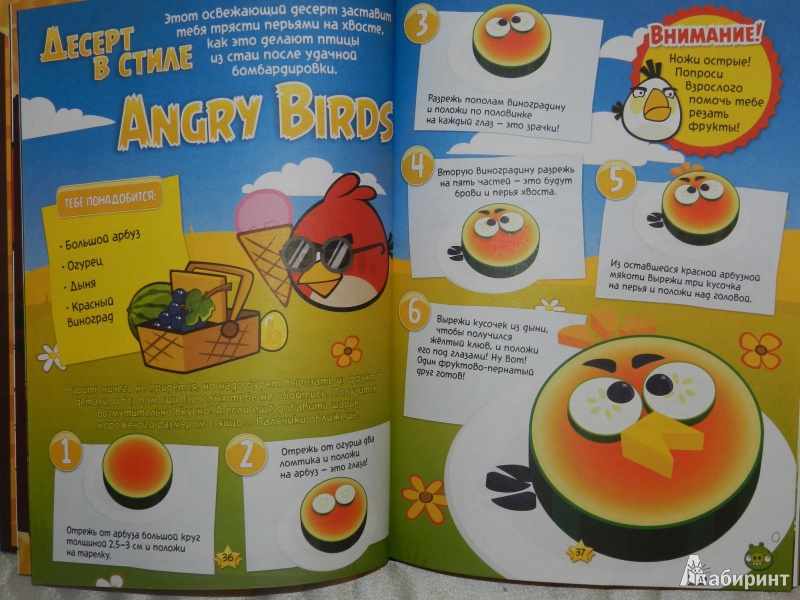 Иллюстрация 11 из 15 для Angry Birds. Секретные материалы | Лабиринт - книги. Источник: Дробязко  Екатерина