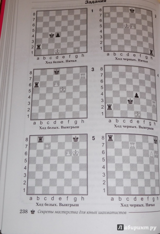 Иллюстрация 4 из 35 для Секреты мастерства для юных шахматистов - Антонина Трофимова | Лабиринт - книги. Источник: Лабиринт