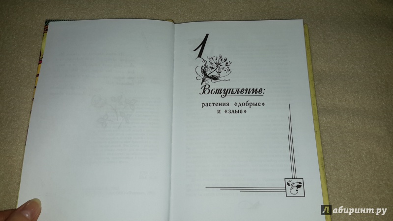 Иллюстрация 4 из 27 для Язык цветов, или Все тайны цветочной магии - Денис Лобков | Лабиринт - книги. Источник: Маруся (@smelayatrysixa)